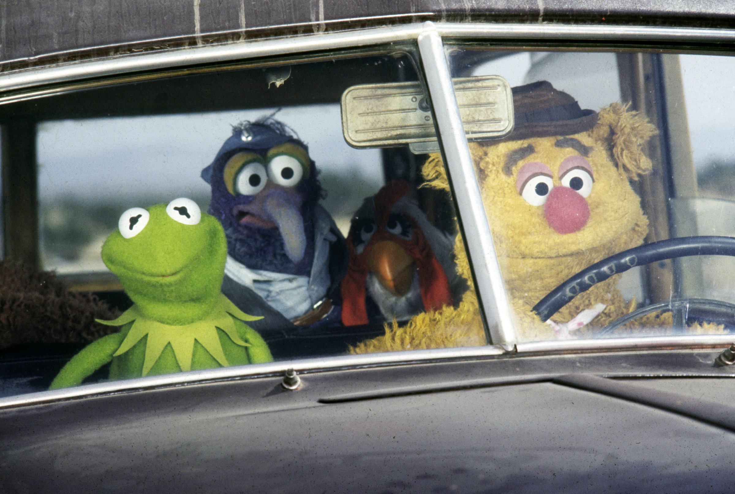 Three muppets sit in a car looking through the windshield.