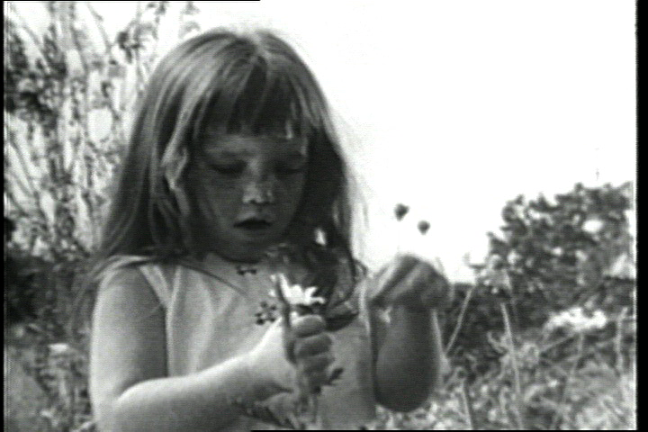 1964: Peace Little Girl (Daisy)
