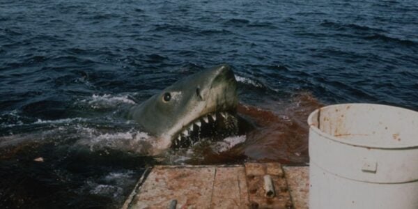 A giant killer shark with blood on its jaws pops out of the water near the side of a boat