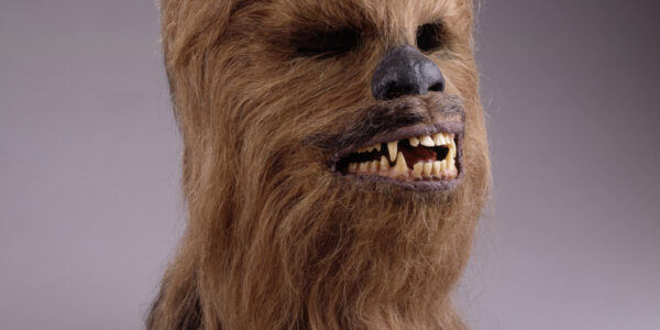 The head of the character Chewbacca, mouth slightly open showing fangs