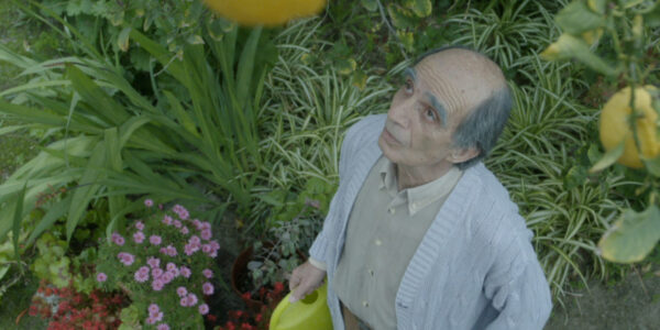 An elderly man stands outside on grass and looks up in the sky