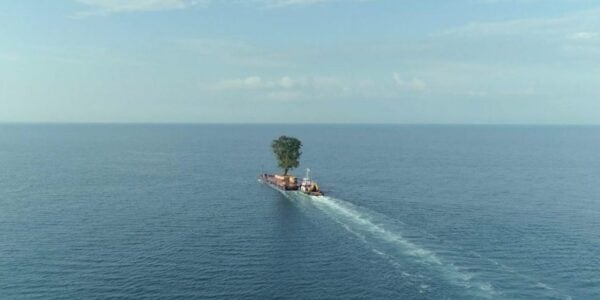 A tree sails over the sea on a raft.