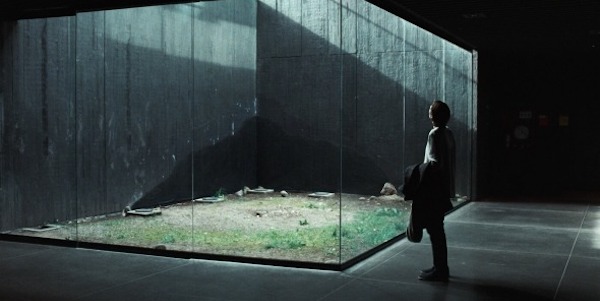 A woman looks at a section of concrete and grass behind a glass partition