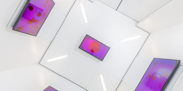 The interior of the Museum elevator's white walls, with purple screens on the ceiling and walls showing an animated art work