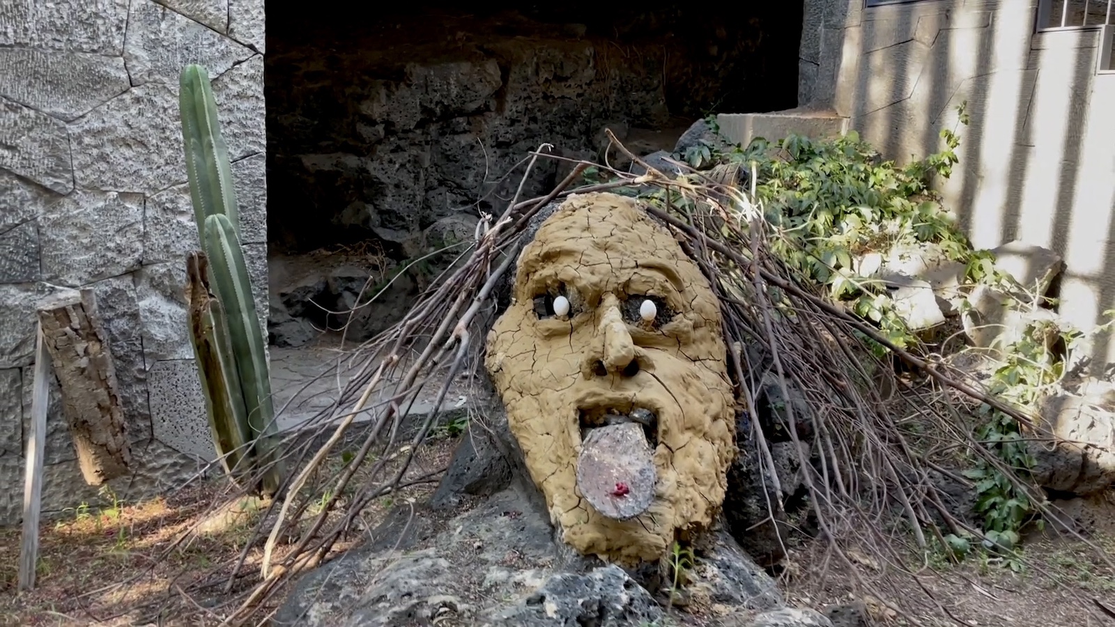 A witch face made out of a rock with grass for hair and its tongue sticking out